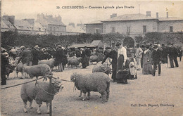 50-CHERBOURG- CONCOURS AGRICOLE PLACE DIVETTE - Cherbourg