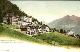 SUISSE - Carte Postale De Feydey Leissin -Le Grand Hôtel - L 86626 - Fey