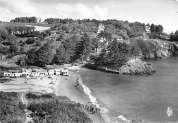 ¤¤   -  ETABLES-sur-MER    -  La Plage Du Moulin Avec Ses Pins        -   ¤¤ - Etables-sur-Mer