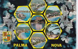 Palma Nova - La Palma