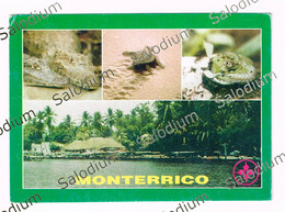 GUATEMALA - Montericco - Storia Postale - Tartaruga Alligatore - Guatemala