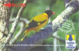 SRILANKA : 28C 100 The Ceylon Black-Headed Oriole (white Print) USED - Sri Lanka (Ceilán)