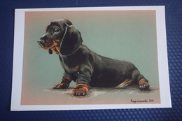 Dachshund - Teckel - Dackel - Bassotto Puppy-  Modern Polish Postcard - Perros