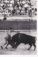 N° 28 Suerte De Matar, Un Volapié, Corrida. Belle Cpsm - Corrida