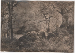 Photo Originale XIXème Album DORNES Peinture D'Auguste ALLONGE Beau Format - Anciennes (Av. 1900)
