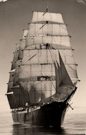 Bateau Voilier ELSINORE * Photo Ancienne - Sailing Vessels