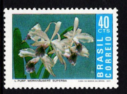 Brazil - 1971 - Flower - Orchid - Werkhauserii Superba - Mint Stamp - Ungebraucht