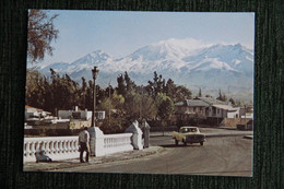 PEROU - Parque Grau, Nevado Chachani - Perú