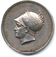 NAPOLEONE BONAPARTE PRESA DI VIENNA CONQUISTA VINDOBONA 1805 MEDAGLIA ARGENTO - Royal/Of Nobility