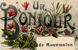 Mourmelon * Un Bonjour De La Commune * Souvenir - Mourmelon Le Grand