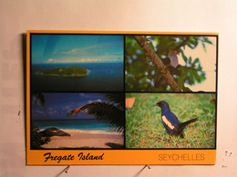 Seychelles - Vues Diverses - Seychelles