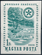 * 1964 Évfordulók - Események (II.) - Orsz. Erdészeti Egyesület Vágott Bélyeg - Sonstige & Ohne Zuordnung