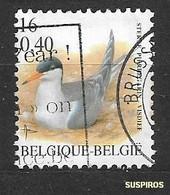 BELGIO / BELGIUM/  -     2001 Birds  Common Tern (Sterna Hirundo)  Ø - Cernícalo