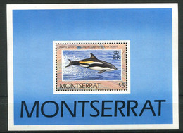 (CL 16 - P.17) Montserrat ** Bloc N° 56 - (ref. Michel Au Dos) - Orques  - - Unclassified