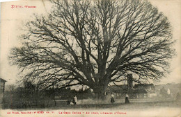 étival * Le Gros Chêne * L'abbaye * Arbre - Etival Clairefontaine