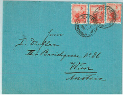 93784 - ARGENTINA - POSTAL HISTORY - Libertad Escudo On COVER To AUSTRIA  1906 - Covers & Documents