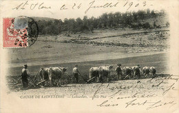 Causse De Sauveterre * Des Laboureurs * Travail Aux Champs * Labourage Attelage Boeufs Paysans Agriculture - Autres & Non Classés