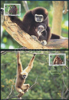 2008 WWF: Majmok Sor 4 Db CM-en Mi 2062-2065 - Andere & Zonder Classificatie