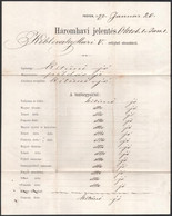 1871-73 Három Havi Iskolai értesítés, 3 Db + 1873 Iskolai Bizonyítvány - Zonder Classificatie