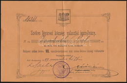 1897 Székesfővárosi Községi Választói Igazolvány, Bp., VII. Választó-kerületébe, Pecséttel, Aláírásokkal. - Zonder Classificatie