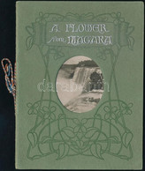 Cca 1910 A Niagara Virága Egy Fénykép, Egy Lepréselt Virág Szecessziós Borítóval - Unclassified