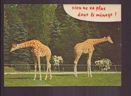 GIRAFES RIEN NE VA PLUS DANS LE MENAGE - Girafes