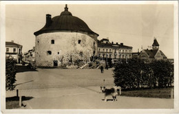 ** T2 Vyborg, Wiborg, Viipuri; Street View, Tower, Automobile, Police Station, Dog. Foto Adam - Unclassified