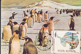 SOUTH POLE, ANTARCTIC WILDLIFE, PENGUINS, CM, MAXICARD, CARTES MAXIMUM, 1990, ROMANIA - Fauna Antartica