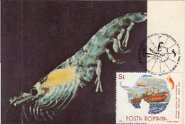 SOUTH POLE, ANTARCTIC WILDLIFE, KRILL, TARNAVA SHIP, CM, MAXICARD, CARTES MAXIMUM, 1990, ROMANIA - Faune Antarctique