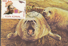 SOUTH POLE, ANTARCTIC WILDLIFE, SEALS, CM, MAXICARD, CARTES MAXIMUM, 1990, ROMANIA - Fauna Antartica