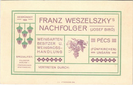 * T2 Pécs, Fünfkirchen; Franz Weszelszky's Nachfolger Josef Biró Weingarten Besitzer U. Weingrosshandlung / Bíró József  - Non Classificati