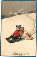 T3 Boldog Újévet! / New Year Greeting Winter Sport Art Postcard With Sled And Pigs. HWB Ser. 1168. Litho (kopott Sarok / - Non Classificati