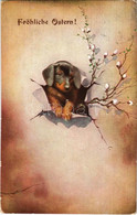 T2/T3 1909 Fröhliche Ostern! / Easter Greeting Card With Dog (EK) - Unclassified