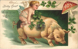 T2 1905 Boldog Újévet! / New Year Greeting Art Postcard, Angel With Pig, Clovers And Mushroom. Emb. Litho - Unclassified