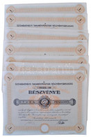 Szombathely 1938. "Szombathelyi Takarékpénztár Részvénytársaság" Részvénye 50P-ről, Szelvényekkel, Szárazpecséttel (10x) - Unclassified