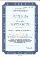 Budapest 1991. "Mélyépítő RT. " Névre Szóló Részvénye 100.000Ft-ról, Szelvényekkel, Belső Oldalon "ÉRVÉNYTELEN" Felülbél - Unclassified