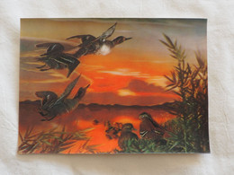 3d 3 D Lenticular Stereo Postcard Ducks 1974  A 209 - Cartes Stéréoscopiques