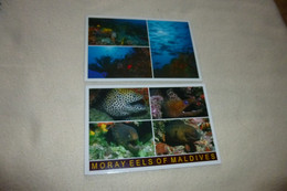 LOT DE 2 CARTES ...POISSONS DES MALDIVES - Maldive