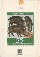 Bundesrepublik - Besonderheiten: 1972, Jugendmarke Tierschutz 25+10 Pf: Original-Künstlerentwurf (Fo - Andere & Zonder Classificatie