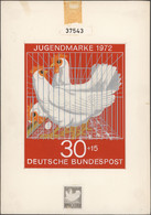 Bundesrepublik - Besonderheiten: 1972, Jugendmarke Tierschutz 30+15 Pf: Original-Künstlerentwurf (Fo - Andere & Zonder Classificatie