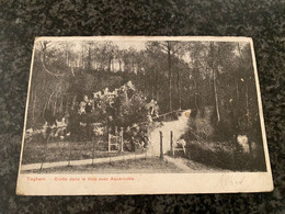 Tieghem - Grotte Dans Le Bois Avec Aquariums - Tiegem - Anzegem - Gelopen 1914 - Ed. Gouweloos - Anzegem