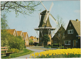 Groeten Uit Heerenveen  - 'Welgelegen' Windmolen/Moulin à Vent/Windmill - (Holland) - Heerenveen