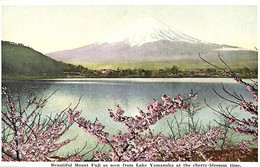 033 917 - CPA - Japon - Beautiful Mount Fuji - Tokio