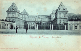 11196" RICORDO DI TORINO-CASTELLO DEL VALENTINO "ANIMATA-VERA FOTO-CART NON SPED - Castello Del Valentino