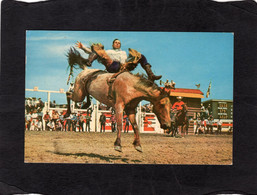 Delcampe - 98674     Canada,  Bronc  Riding,  Calgary  Stampede,  VG - Calgary