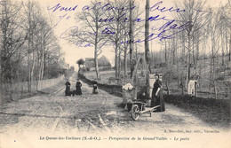 La Queue En Yvelines        78        Perspective De La Grand'Vallée .  Le Puits        (voir Scan) - Autres & Non Classés