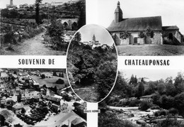 Souvenir De Chateauponsac. - Chateauponsac