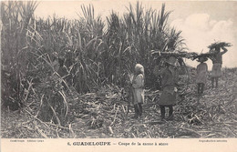 ¤¤   -  GUADELOUPE   -  Coupe De La Canne à Sucre  -  ¤¤ - Other & Unclassified