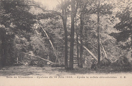Evènements - Météo - Cyclone Du 16 Juin 1908 - Bois De Vincennes - Katastrophen