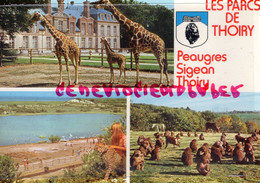 78-  THOIRY - CHATEAU - GIRAFE RETICULEE ET SON PETIT NE A THOIRY - Thoiry